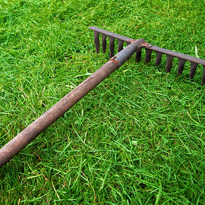 Placeholder Project Title 4